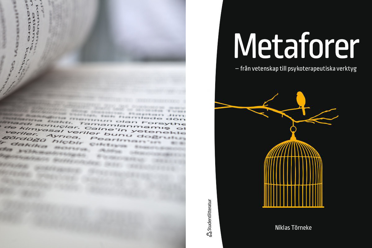 Metaforer - från vetenskap till psykoterapeutiska verktyg - Niklas Törneke